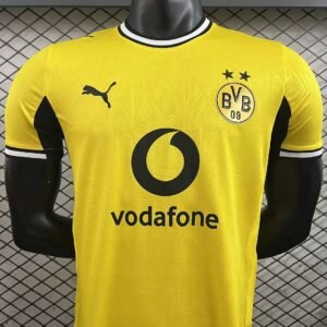 Borussia Dortmund - Local